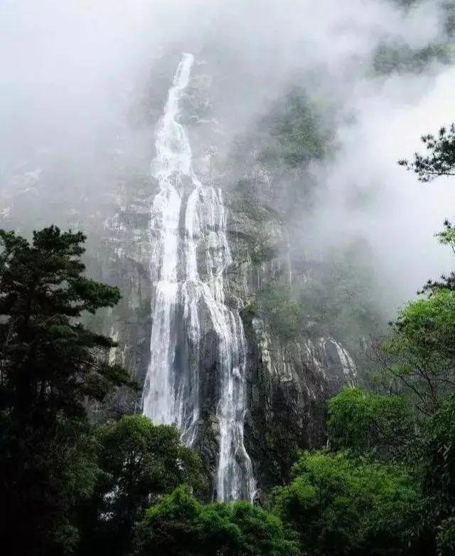 清代粉彩瓷器海外交易价格高吗游戏画面
